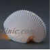 Large Nautilus Tea Light Porcelain wonderful gift    222695144220